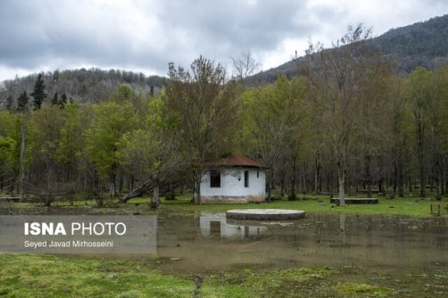 بارش باران در نخستین روز قرن جدید/ وزش باد شدید در غرب و مرکز کشور