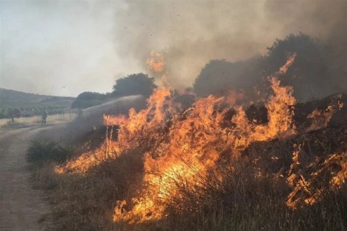 مدیرکل منابع طبیعی کردستان: گردباد، آتش در ارتفاعات آبیدر را شعله‌ور کرد/ غافلگیر شدیم/ به بالگرد نیاز داریم