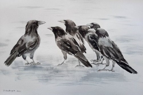 آهای خبردار...