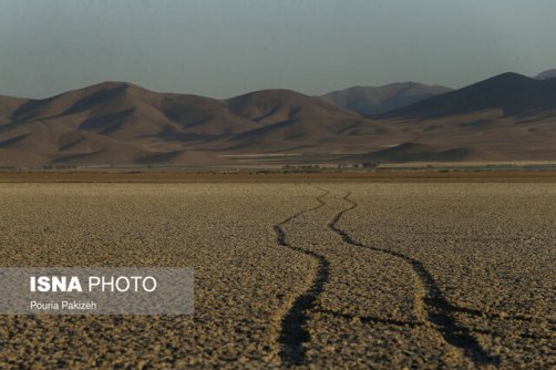 43 درصد تالاب‌های کشور در معرض تبدیل شدن به منشأ گرد و غبار