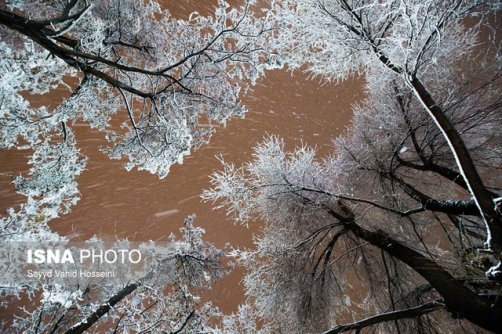 برف و کولاک در تهران/ثبت دمای انجماد در ایستگاه‌های هواشناسی 