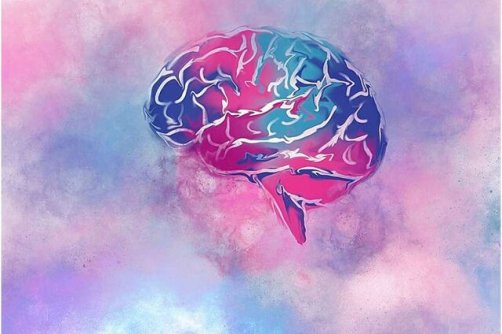 12 سوالی که باید برای حفظ سلامت مغز از خود و پزشک‌تان بپرسید