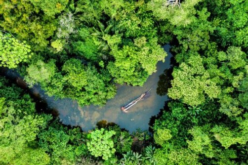 ریه‌های زمین در آستانه خاموشی