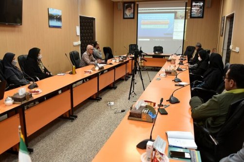 بررسی چالش‌ها و فرصت‌های کنشگری در پریشان و بختگان