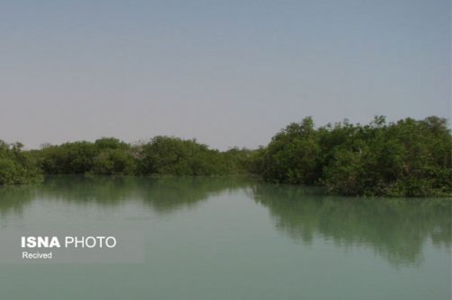 شهرهای ورزنه و بندر خمیر واجد شرایط شهر تالابی کنوانسیون رامسر شناخته شدند