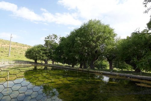 با سلام به دوستان ویاران عزیز طار