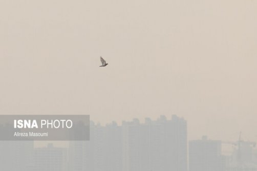 هشدار هواشناسی نسبت به افزایش آلودگی هوای تهران و کرج/ افزایش ارتفاع موج در خلیج فارس 