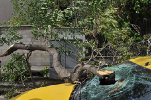 12 نکته درباره هشدار سریع؛ اقدام سریع در هواشناسی