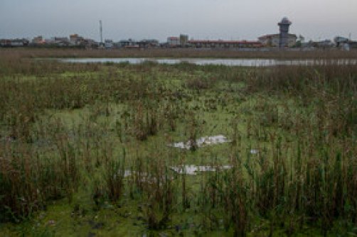  زنگ خطر برای ایران زمین! تالاب «عینک»