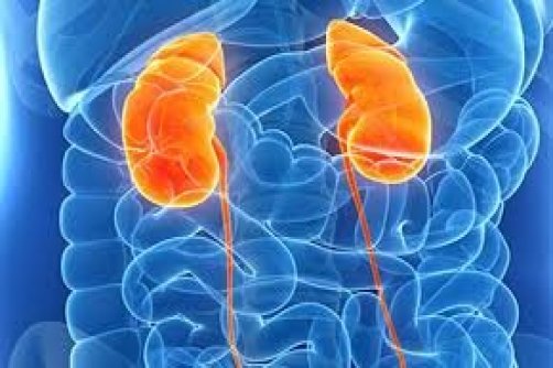 پیوند کلیه از اهداکننده مبتلا به کووید بی‌خطر است