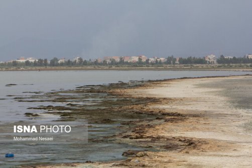 لایروبی، راهکار علاج‌بخشی خلیج گرگان نیست/زمان طلایی که از دریاچه ارومیه گرفته شد