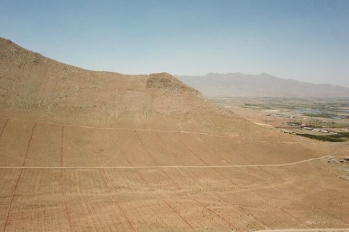 آغاز آبیاری طرح جنگل کاری ۲۰۰۰ هکتاری 