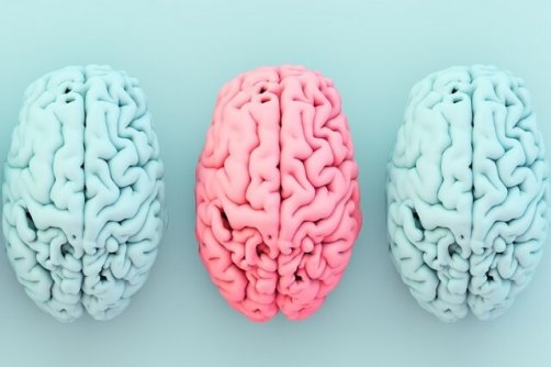 ارتباط شگفت‌انگیز میان یک ماده مغذی کلیدی، چاقی و خطر آلزایمر