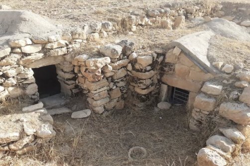 «کَل‌چِندار شَمی» به‌سامان می‌شود