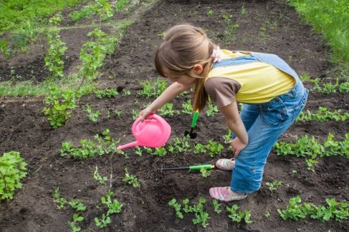  12راه آسان برای بهبود سلامتی در تابستان