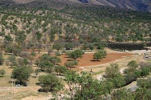 تصویب طرح مدیریت وسیع‌ترین پناهگاه حیات‌وحش ایران 