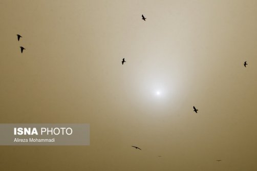 خیزش گرد و خاک در ۱۵ استان/تشدید بارش در نیمه شمالی