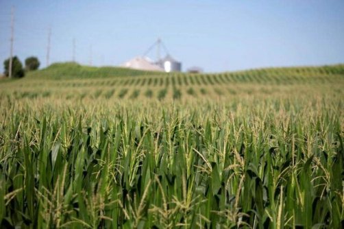 ثبت رکورد تاریخی در هزینه کشاورزی