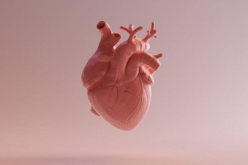 بیماری قلبی سالانه جان ۱۸.۶ میلیون نفر را در جهان می‌گیرد