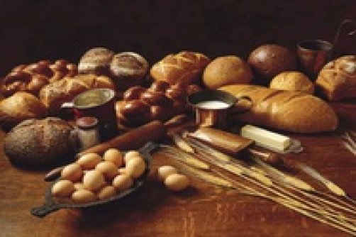  ارائه تازه‌ترین دستاوردهای صنعت غلات در نمایشگاه ۴ روزه