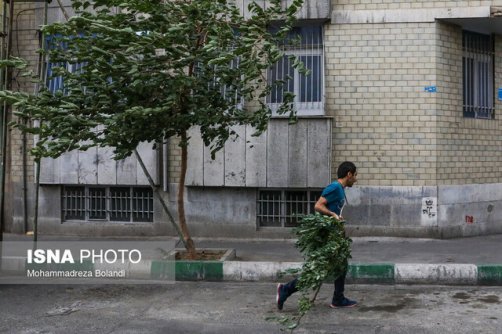 وزش باد شدید در تهران/ ماندگاری گرما در استان طی هفته آینده
