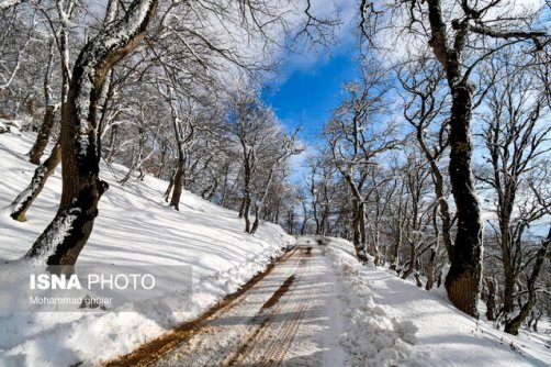 3 استان برفی و ۳ استان بارانی طی امروز/ دمای کدام استان ها کاهشی می شود؟