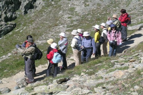  پس از دو سال وقفه سفر گردشگران ژاپنی به ایران از سرگرفته شد