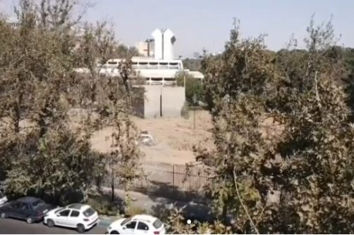 ماجرای قطع درختان موزه فرش