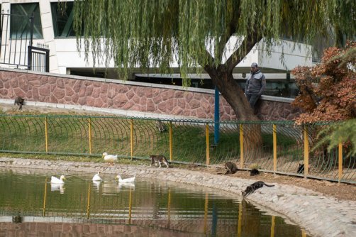 تداوم هوای مطلوب تهران طی امروز