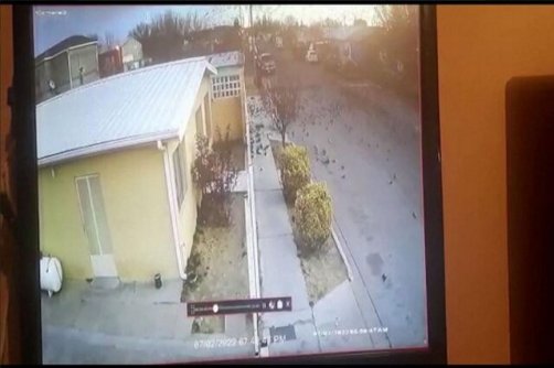 مرگ مشکوک و ناگهانی صدها پرنده در شمال مکزیک