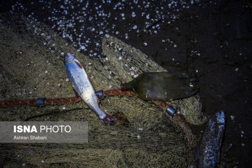 دخالت‌های انسانی ضربه‌ای بر پیکر دریای خزر