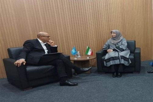 دبیرخانه کنوانسیون تغییر اقلیم صدای ایران را خواهد شنید/تاکیدبرتوسعه همکاری‌های محیط‌زیستی