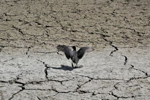 گرفتاری تهران در سه خشکسالی عمیق