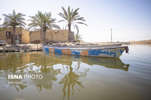 58 درصد تالاب شادگان خشک شده است/ تخصیص تنها نیمی از حق‌آبه تالاب