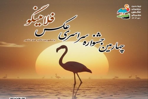 فلامینگوها در قاب هنر/ پوستر جشنواره‌ای برای حفاظت از میانکاله رونمایی شد