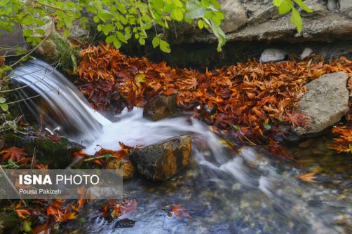 واگذاری مدیریت سراب 