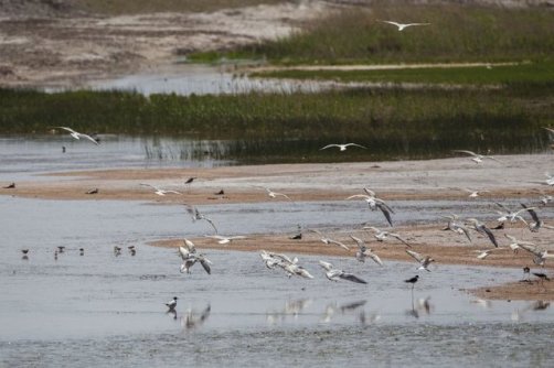 تالاب‌های چهارمحال‌وبختیاری؛ جاذبه‌های منحصر بفرد
