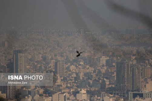 5 راهکار تقویت سیستم ایمنی بدن در روزهای آلوده