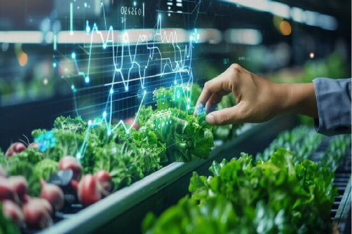 «تا ثریا» سکوی پرتاب ۱۰ طرح فناورانه کشاورزی به سوی سرمایه‌گذاران