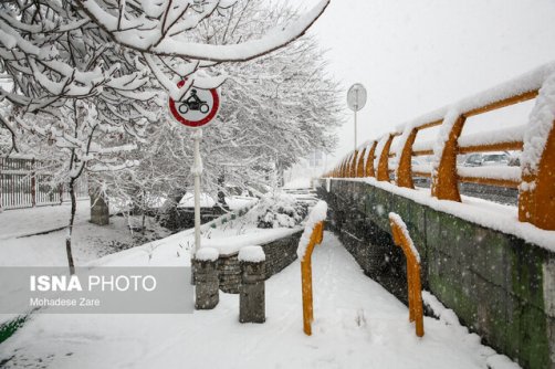 تداوم بارش باران و برف در برخی نقاط تهران