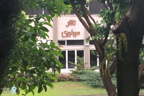 جبران بخشی از خلاء‌های آموزش و پرورش به کمک یک مدرسه