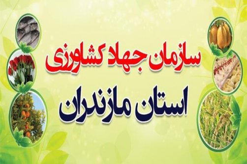  126شغل جدید در سامانه رصد اشتغال محمودآباد ثبت شد