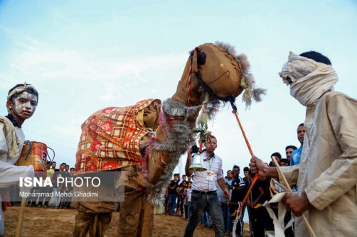 ارائه آموزش‌های صنعت گردشگری به جوامع محلی قشم