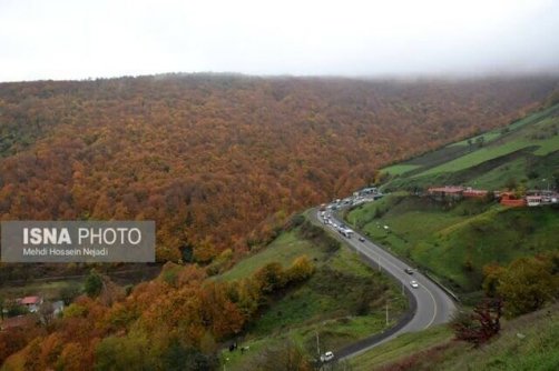 هشدار اداره منابع طبیعی آستارا در مورد احتمال وقوع آتش سوزی در جنگل ها