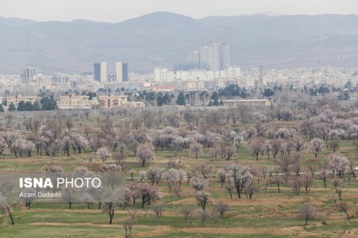 پیشنهاد ثبت جهانی باغستان سنتی قزوین با نام باغات کاسپین