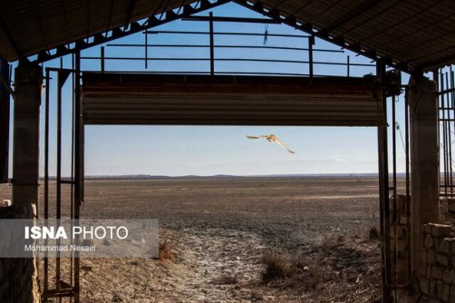 هفته‌هایی بی‌بارش با دمایی بیش از نرمال تا اواسط شهریورماه