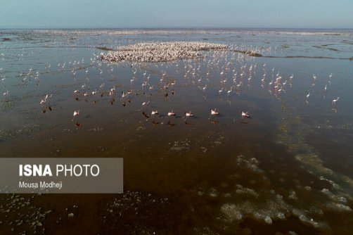 تداوم اجرای طرح حفاظت از تالاب‌های ایران در دستور کار محیط زیست