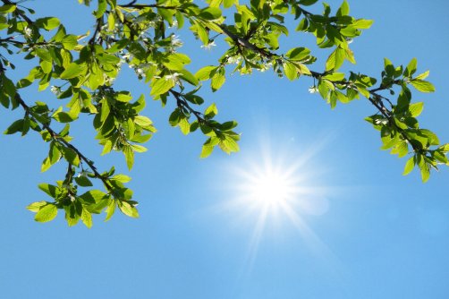 تداوم ماندگاری هوای گرم در اغلب مناطق کشور 