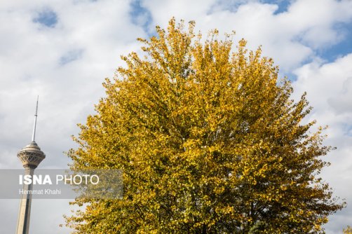افزایش دمای تهران از فردا