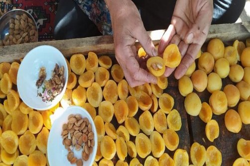 «برگه زردآلو» ثبت می‌شود؟